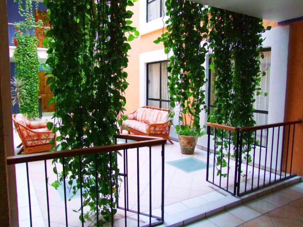 Hotel Oaxaca Dorado Exteriör bild